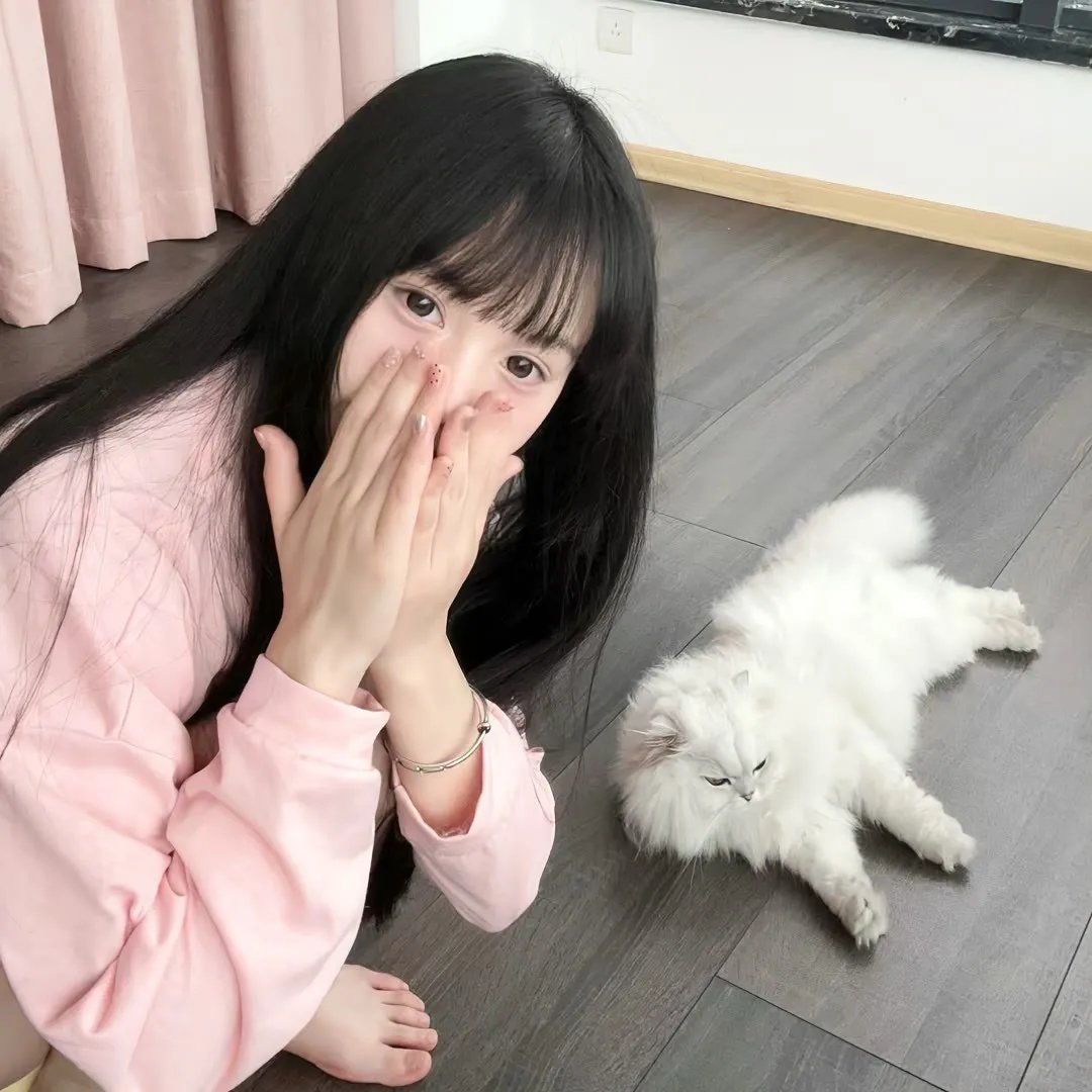 阿衰第二季